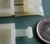 Flexure (2007)