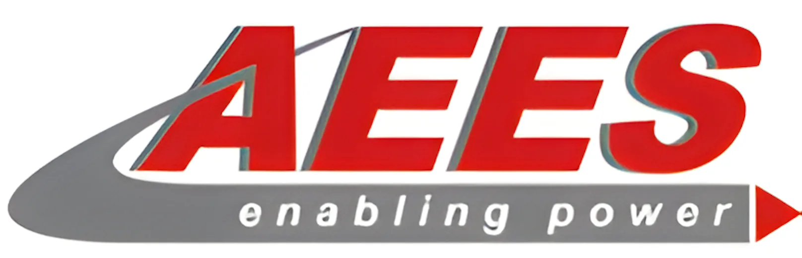 AEES, a Motherson Group Company logo